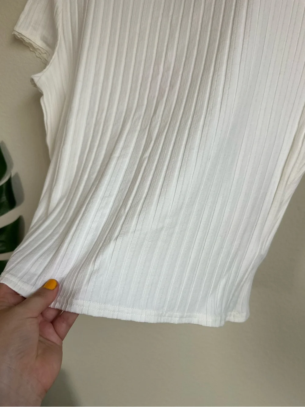 NWOT J.Crew Pointelle Short Sleeve Rib T Shirt